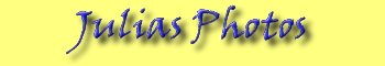 logga88.jpg (5054 bytes)