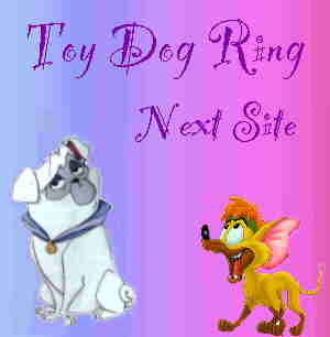 Next Toy Dog Ring