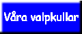 valpknapp.gif (1553 bytes)